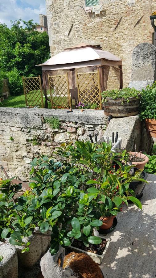 San Paterno B&B Rapolano Terme Exterior photo