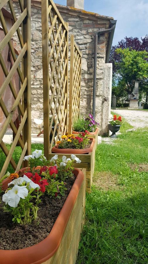San Paterno B&B Rapolano Terme Exterior photo