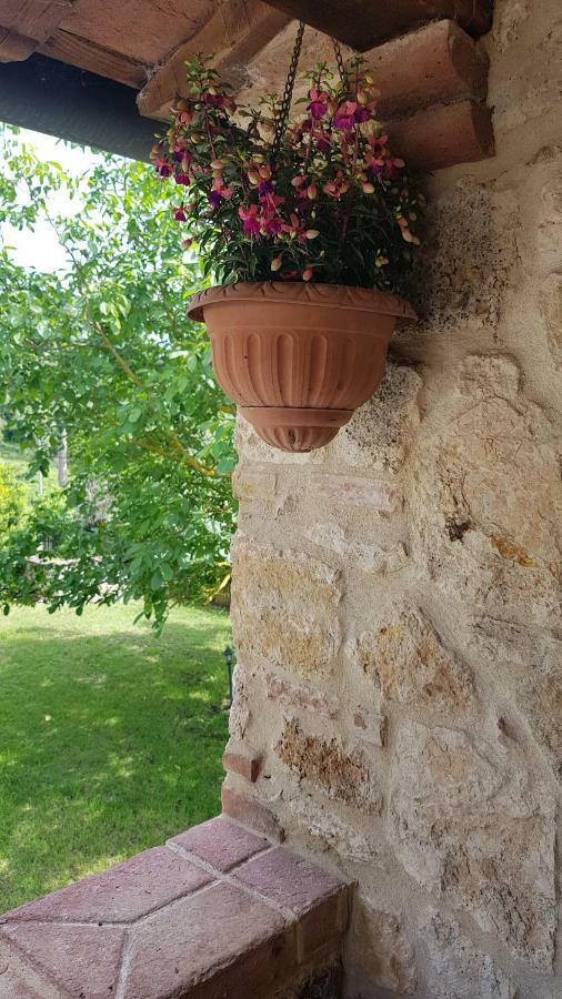San Paterno B&B Rapolano Terme Exterior photo